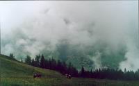 Inneralpbach from the top